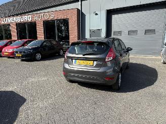 Avarii autoturisme Ford Fiesta 1.25 (Hatchback 5-dr.) 2017/5