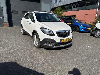 Opel Mokka 1.4 T Cosmo (SUV 5-dr.) picture 35