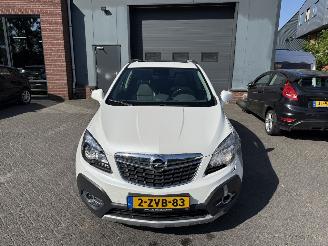 Opel Mokka 1.4 T Cosmo (SUV 5-dr.) picture 8