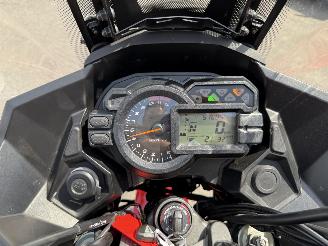 Kawasaki Versys 1000 ABS Tourer picture 9
