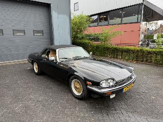Jaguar Xjs 5.3 V12 Convertible (Cabrio softtop 2-dr.) picture 34