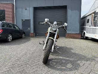 Honda VT 1100 C  Shadow picture 13