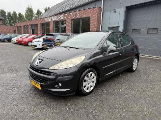 Peugeot 207 1.4 VTi Cool \'n Blue (Hatchback 5-dr.) picture 1