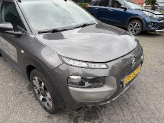 Citroën C4 cactus 1.2 PureTech One-Tone (SUV 5-dr.) picture 21