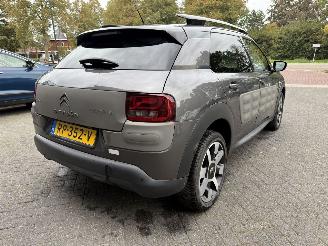 Citroën C4 cactus 1.2 PureTech One-Tone (SUV 5-dr.) picture 5