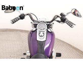 Harley-Davidson  FLD Dyna Switchback ABS picture 15