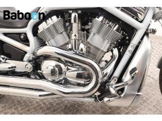 Harley-Davidson  VRSCA V-Rod picture 11