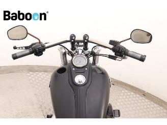 Harley-Davidson  FXDF Dyna Fat bob picture 14