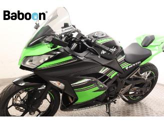 Kawasaki  Ninja 300 picture 20