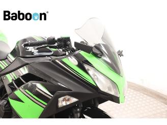 Kawasaki  Ninja 300 picture 18