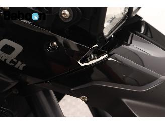 BMW F 800 GS ABS picture 10