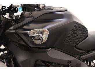Yamaha MT-09  picture 17
