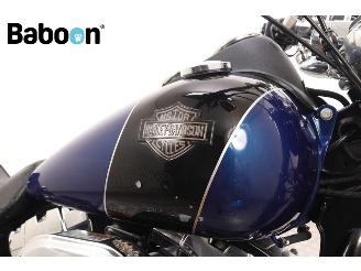 Harley-Davidson  FXDL Dyna Low Rider picture 10