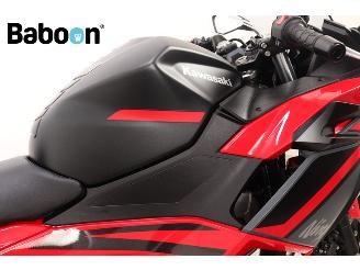 Kawasaki Ninja 500 SE  picture 12