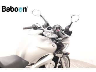 Yamaha FZ 6 S picture 10