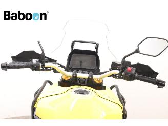 Suzuki  V-Strom 800 DE picture 13
