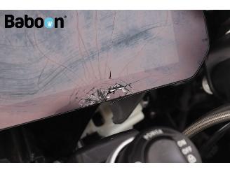BMW R 1250 GS Adventure 40 years picture 25