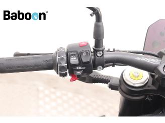 BMW S 1000 R  picture 16