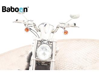Harley-Davidson  VRSCA V-Rod picture 17