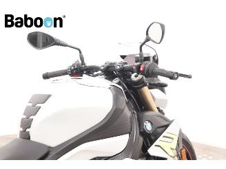 BMW S 1000 R ABS picture 10