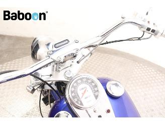 Harley-Davidson XL 1200 C Sportster Custom picture 23