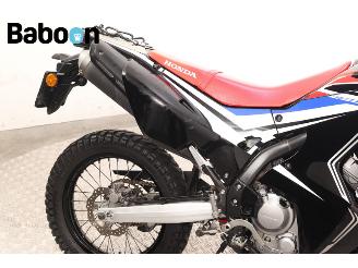 Honda CRF 250 Rally picture 11