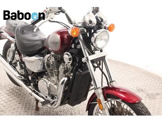 Honda  VT 800 C Shadow picture 17