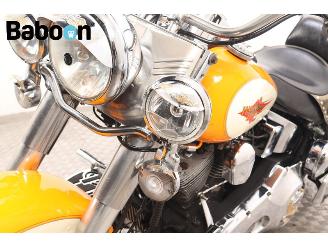 Harley-Davidson  FLSTC Softail Heritage Classic picture 19