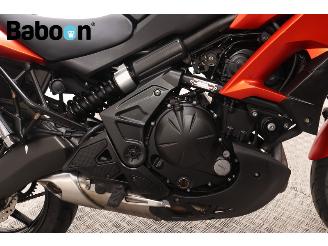 Kawasaki Versys 650 ABS picture 12