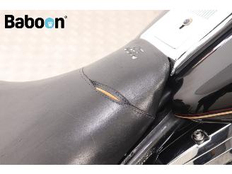 Harley-Davidson  FLHR Road King picture 14