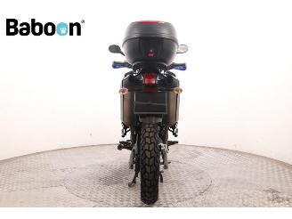 Yamaha XT 660 R picture 7