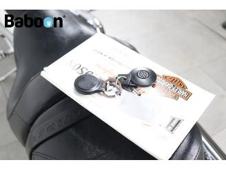 Harley-Davidson  VRSCA V-Rod 100Th Anniversary picture 14