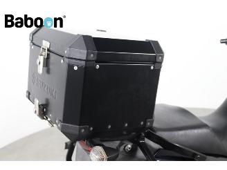 Suzuki DL 650 V-Strom ABS picture 15