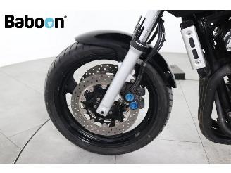 Yamaha FZS 600 Fazer picture 19