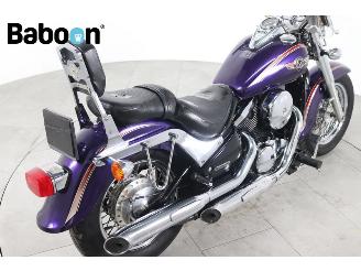 Kawasaki VN 800 Vulcan Classic picture 14