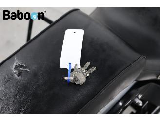 Harley-Davidson  FLSTF Fat Boy picture 21