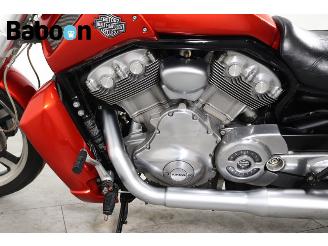 Harley-Davidson  VRSCF V-ROD Muscle picture 17