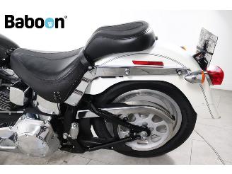 Harley-Davidson  FLSTF Fat Boy picture 18