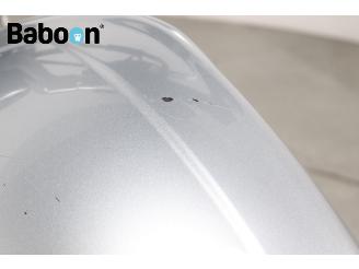 Harley-Davidson  VRSCF V-ROD Muscle picture 16