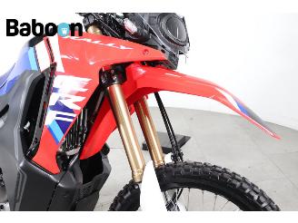 Honda  CRF 300 Rally picture 12