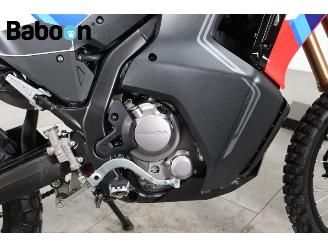 Honda  CRF 300 Rally picture 15