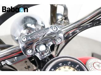 Harley-Davidson  FLSTN Softail Deluxe picture 17