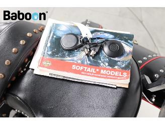 Harley-Davidson  FLSTN Softail Deluxe picture 26