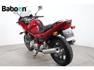 Yamaha XJ 900 S Diversion picture 6