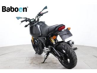 Honda MSX 125 Grom picture 6