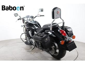 Kawasaki VN 900  picture 6