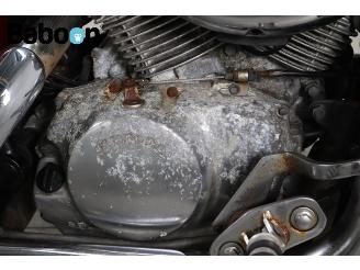 Honda VT 750 C2 Shadow ACE picture 14