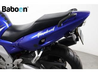 Yamaha YZF 600 R Thundercat picture 17