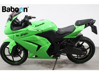 Kawasaki Ninja 250 R  picture 5