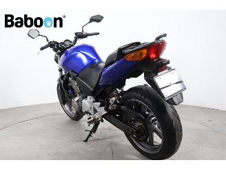 Honda CBF 500 ABS picture 6